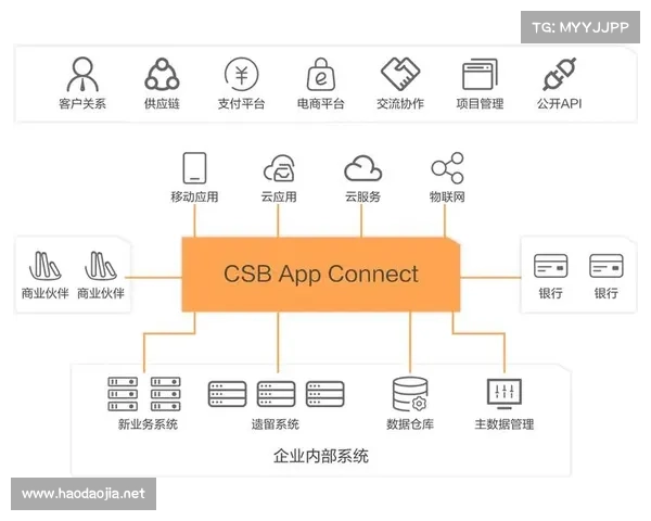 飞飞28预测专业版精准分析技巧与实战应用指南 飞飞28预测专业版精准分析技巧与实战应用指南